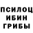 Галлюциногенные грибы Psilocybe Robin Sk