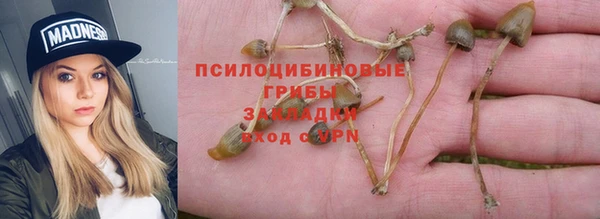 спиды Абаза