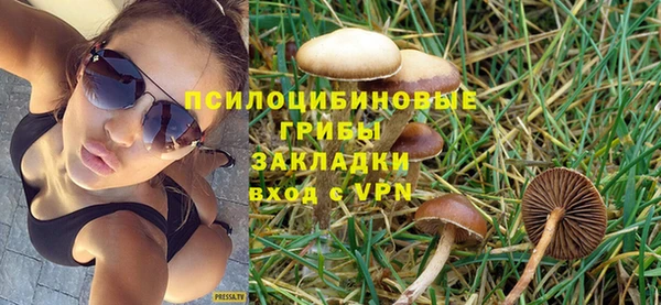 спиды Абаза