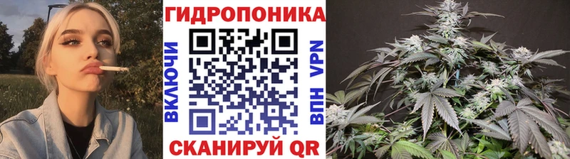 маркетплейс телеграм Старая Русса Каннабис планчик